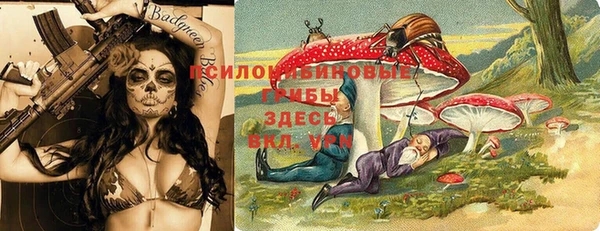 стафф Арсеньев